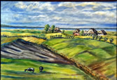 bild6