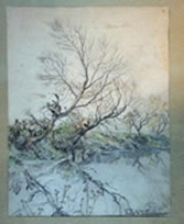 bild5