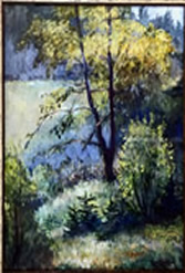 bild5